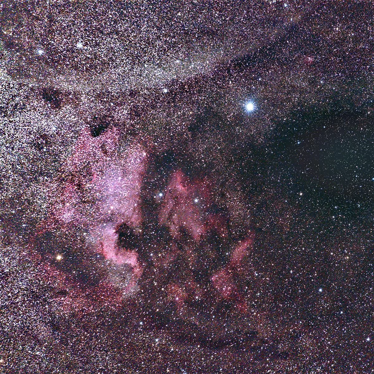 Figure 10 | North America Nebula (NGC 7000 or Caldwell 20) and Pelican Nebula (IC 5070 and IC 5067). Photographed on 6/29/2021 from Flanders, NJ, using a Canon EOS RP with a Sigma EX DG OS 70-200mm f/2.8 lens at f/4, and ISO 800 on a Sky-Watcher Star Adventurer 2i Pro tracking at sidereal rate. The rig was used in full-frame mode for a total raw focal length of 200mm. 74x120s images were integrated within Sequator for a total of 2.5h of data; the output TIFF was then stretched in Adobe Photoshop CC v. 22.1.1 using the Astronomy Tools Action Set (v. 1.6.2 from ProDigital Software) and AstroFlat Pro (v. 1.4.11 from ProDigital Software). 