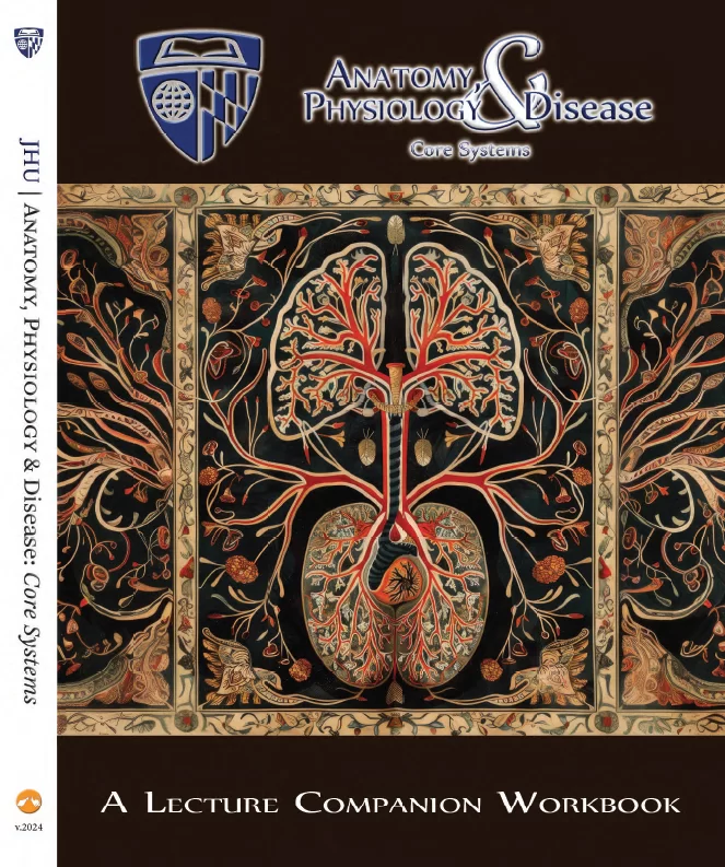 Ciarleglio, CM. (2024). Anatomy, Physiology & Disease | Core Systems: A Lecture Companion Workbook (Johns Hopkins University 1st ed., Ser. Lecture Libations). SynapticPub, LLC. 